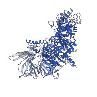 28143_8eh8_J_v1-0
Cryo-EM structure of his-elemental paused elongation complex with a folded TL and a rotated RH-FL (1)