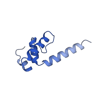 28143_8eh8_K_v1-0
Cryo-EM structure of his-elemental paused elongation complex with a folded TL and a rotated RH-FL (1)
