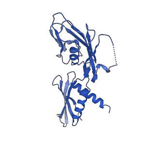 28144_8eh9_G_v1-0
Cryo-EM structure of his-elemental paused elongation complex with a folded TL and a rotated RH-FL (2)