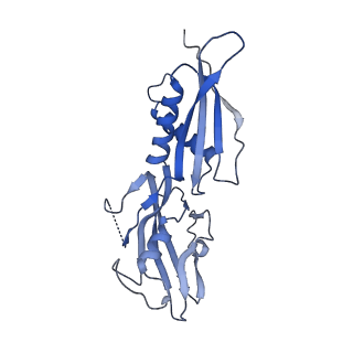 28144_8eh9_H_v1-0
Cryo-EM structure of his-elemental paused elongation complex with a folded TL and a rotated RH-FL (2)