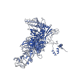 28144_8eh9_I_v1-0
Cryo-EM structure of his-elemental paused elongation complex with a folded TL and a rotated RH-FL (2)