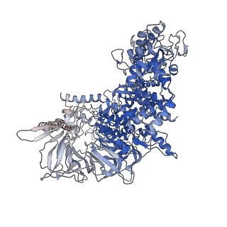 28144_8eh9_J_v1-0
Cryo-EM structure of his-elemental paused elongation complex with a folded TL and a rotated RH-FL (2)