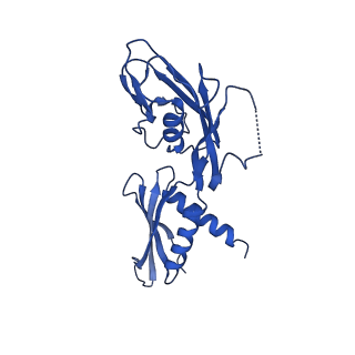 28145_8eha_G_v1-0
Cryo-EM structure of his-elemental paused elongation complex with a folded TL and a rotated RH-FL (out)
