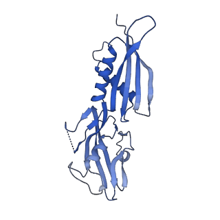 28145_8eha_H_v1-0
Cryo-EM structure of his-elemental paused elongation complex with a folded TL and a rotated RH-FL (out)