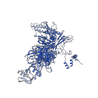 28145_8eha_I_v1-0
Cryo-EM structure of his-elemental paused elongation complex with a folded TL and a rotated RH-FL (out)