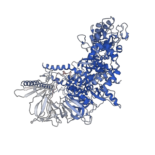 28145_8eha_J_v1-0
Cryo-EM structure of his-elemental paused elongation complex with a folded TL and a rotated RH-FL (out)