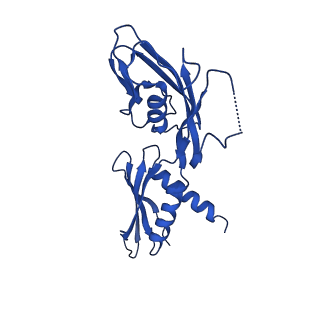 28146_8ehf_G_v1-0
Cryo-EM structure of his-elemental paused elongation complex with an unfolded TL (1)