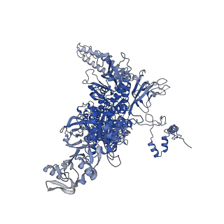 28146_8ehf_I_v1-0
Cryo-EM structure of his-elemental paused elongation complex with an unfolded TL (1)