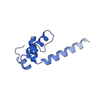28146_8ehf_K_v1-0
Cryo-EM structure of his-elemental paused elongation complex with an unfolded TL (1)