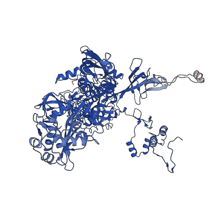 28149_8ehq_C_v1-1
Mycobacterium tuberculosis paused transcription complex with Bacillus subtilis NusG