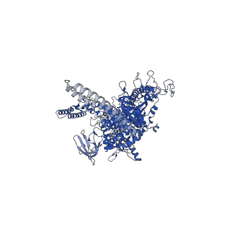 28149_8ehq_D_v1-1
Mycobacterium tuberculosis paused transcription complex with Bacillus subtilis NusG
