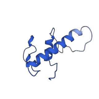 28149_8ehq_E_v1-1
Mycobacterium tuberculosis paused transcription complex with Bacillus subtilis NusG