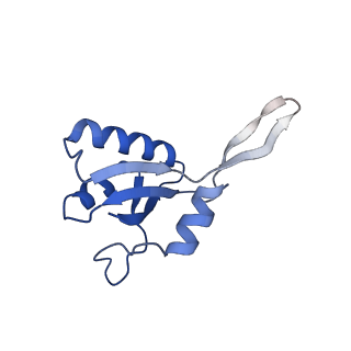 28149_8ehq_G_v1-1
Mycobacterium tuberculosis paused transcription complex with Bacillus subtilis NusG