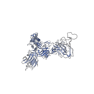 31074_7eh5_A_v1-1
Cryo-EM structure of SARS-CoV-2 S-D614G variant in complex with neutralizing antibodies, RBD-chAb15 and RBD-chAb45
