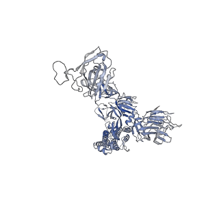 31074_7eh5_B_v1-1
Cryo-EM structure of SARS-CoV-2 S-D614G variant in complex with neutralizing antibodies, RBD-chAb15 and RBD-chAb45