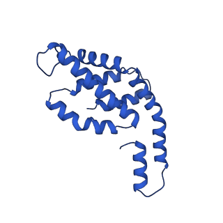 31089_7eh7_A_v1-0
Cryo-EM structure of the octameric state of C-phycocyanin from Thermoleptolyngbya sp. O-77