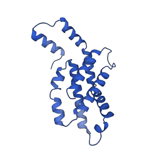31089_7eh7_B_v1-0
Cryo-EM structure of the octameric state of C-phycocyanin from Thermoleptolyngbya sp. O-77