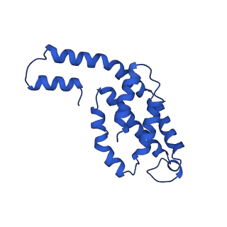 31089_7eh7_C_v1-0
Cryo-EM structure of the octameric state of C-phycocyanin from Thermoleptolyngbya sp. O-77
