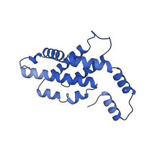 31089_7eh7_D_v1-0
Cryo-EM structure of the octameric state of C-phycocyanin from Thermoleptolyngbya sp. O-77