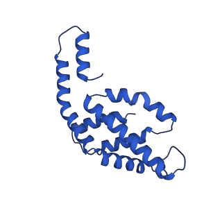 31089_7eh7_E_v1-0
Cryo-EM structure of the octameric state of C-phycocyanin from Thermoleptolyngbya sp. O-77