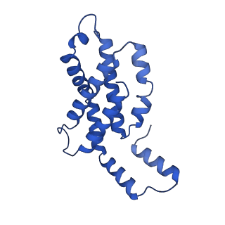 31089_7eh7_F_v1-0
Cryo-EM structure of the octameric state of C-phycocyanin from Thermoleptolyngbya sp. O-77