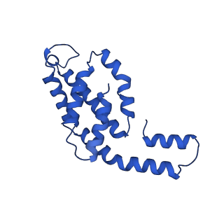 31089_7eh7_G_v1-0
Cryo-EM structure of the octameric state of C-phycocyanin from Thermoleptolyngbya sp. O-77