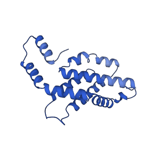 31089_7eh7_H_v1-0
Cryo-EM structure of the octameric state of C-phycocyanin from Thermoleptolyngbya sp. O-77