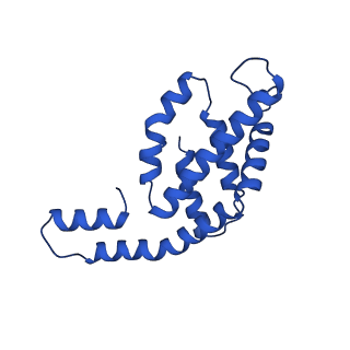 31089_7eh7_I_v1-0
Cryo-EM structure of the octameric state of C-phycocyanin from Thermoleptolyngbya sp. O-77
