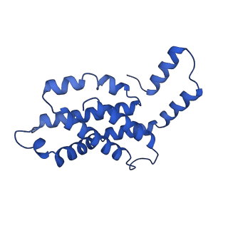 31089_7eh7_J_v1-0
Cryo-EM structure of the octameric state of C-phycocyanin from Thermoleptolyngbya sp. O-77