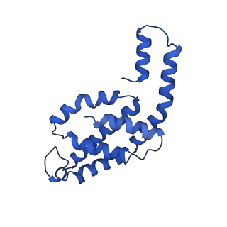 31089_7eh7_K_v1-0
Cryo-EM structure of the octameric state of C-phycocyanin from Thermoleptolyngbya sp. O-77