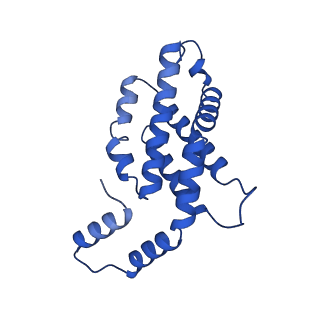 31089_7eh7_L_v1-0
Cryo-EM structure of the octameric state of C-phycocyanin from Thermoleptolyngbya sp. O-77