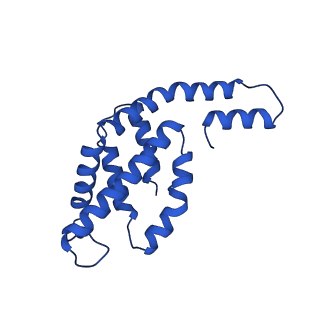 31089_7eh7_M_v1-0
Cryo-EM structure of the octameric state of C-phycocyanin from Thermoleptolyngbya sp. O-77