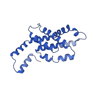 31089_7eh7_N_v1-0
Cryo-EM structure of the octameric state of C-phycocyanin from Thermoleptolyngbya sp. O-77