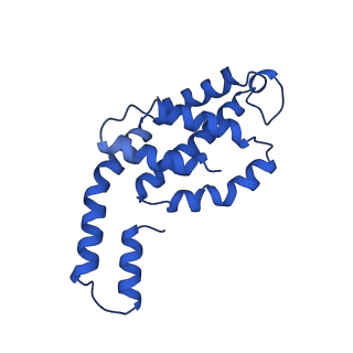 31089_7eh7_O_v1-0
Cryo-EM structure of the octameric state of C-phycocyanin from Thermoleptolyngbya sp. O-77