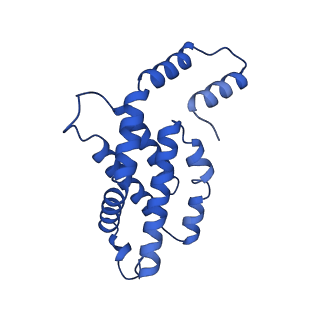 31089_7eh7_P_v1-0
Cryo-EM structure of the octameric state of C-phycocyanin from Thermoleptolyngbya sp. O-77