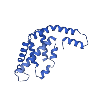 31090_7eh8_A_v1-0
Cryo-EM structure of the hexameric state of C-phycocyanin from Thermoleptolyngbya sp. O-77