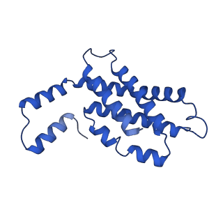 31090_7eh8_B_v1-0
Cryo-EM structure of the hexameric state of C-phycocyanin from Thermoleptolyngbya sp. O-77