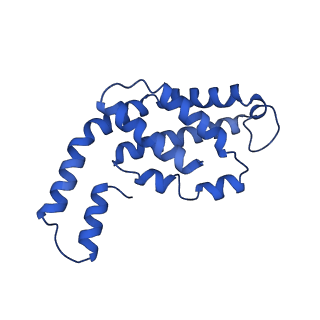 31090_7eh8_C_v1-0
Cryo-EM structure of the hexameric state of C-phycocyanin from Thermoleptolyngbya sp. O-77