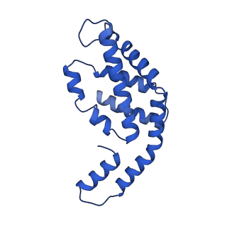 31090_7eh8_E_v1-0
Cryo-EM structure of the hexameric state of C-phycocyanin from Thermoleptolyngbya sp. O-77
