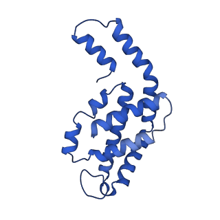 31090_7eh8_G_v1-0
Cryo-EM structure of the hexameric state of C-phycocyanin from Thermoleptolyngbya sp. O-77