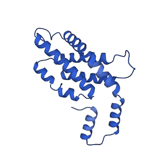 31090_7eh8_H_v1-0
Cryo-EM structure of the hexameric state of C-phycocyanin from Thermoleptolyngbya sp. O-77