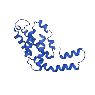 31090_7eh8_I_v1-0
Cryo-EM structure of the hexameric state of C-phycocyanin from Thermoleptolyngbya sp. O-77