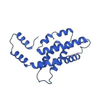 31090_7eh8_J_v1-0
Cryo-EM structure of the hexameric state of C-phycocyanin from Thermoleptolyngbya sp. O-77
