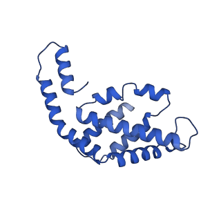 31090_7eh8_K_v1-0
Cryo-EM structure of the hexameric state of C-phycocyanin from Thermoleptolyngbya sp. O-77