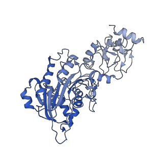 28156_8eih_A_v1-0
Cryo-EM structure of human DNMT3B homo-tetramer (form I)