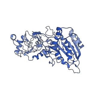 28156_8eih_B_v1-0
Cryo-EM structure of human DNMT3B homo-tetramer (form I)