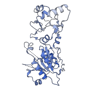 28156_8eih_C_v1-0
Cryo-EM structure of human DNMT3B homo-tetramer (form I)