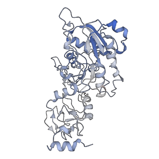 28157_8eii_A_v1-2
Cryo-EM structure of human DNMT3B homo-tetramer (form II)