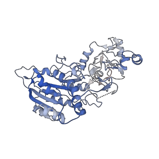 28157_8eii_B_v1-2
Cryo-EM structure of human DNMT3B homo-tetramer (form II)