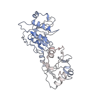 28157_8eii_C_v1-2
Cryo-EM structure of human DNMT3B homo-tetramer (form II)